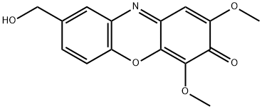 michigazone Struktur