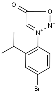 SALOR-INT L447749-1EA Struktur