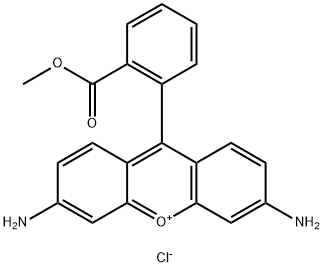 Rhodamine 123 price.