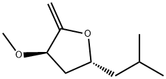 Furan, tetrahydro-3-methoxy-2-methylene-5-(2-methylpropyl)-, (3R,5R)- (9CI) Struktur