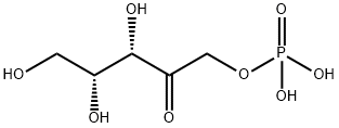 D-Xylulose 1-phosphate Struktur