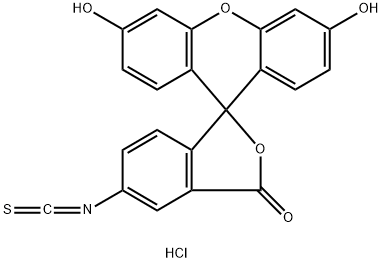 FLUORESCEIN ISOTHIOCYANATE I HYDROCHLORIDE Struktur