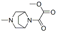 8-(2-Methoxy-1,2-dioxoethyl)-3-methyl-3,8-diazabicyclo[3.2.1]octane Struktur