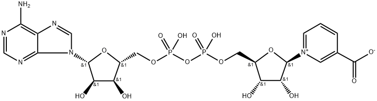 Nicotinic Acid Adenine Dinucleotide