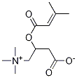 3-Methylcrotonyl L-Carnitine Structure