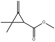 Cyclopropanecarboxylic acid, 2,2-dimethyl-3-methylene-, methyl ester (9CI) Struktur