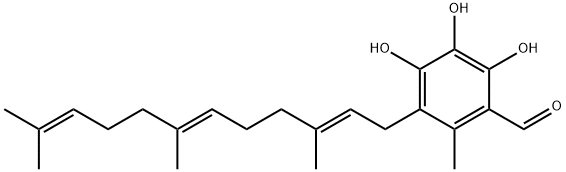 SCUTIGERAL Struktur