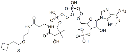 S-[2-[3-[[4-[[[(2R,3S,4R,5R)-5-(6-aminopurin-9-yl)-4-hydroxy-3-phosphonooxyoxolan-2-yl]methoxy-hydroxyphosphoryl]oxy-hydroxyphosphoryl]oxy-2-hydroxy-3,3-dimethylbutanoyl]amino]propanoylamino]ethyl] 2-cyclobutylethanethioate Struktur