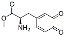 1,5-Cyclohexadiene-1-propanoicacid,alpha-amino-3,4-dioxo-,methylester,(alphaR)-(9CI) Struktur