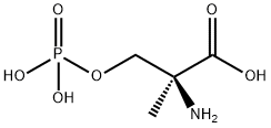 MSOP Struktur