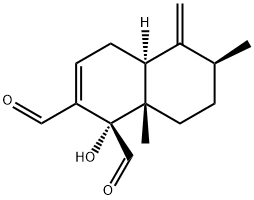 Muzigadial Struktur