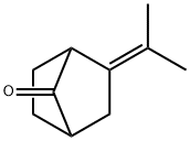 2-(1-Methylethylidene)bicyclo[2.2.1]heptan-7-one Struktur