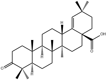 moronic acid