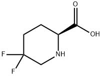 2-Piperidinecarboxylicacid,5,5-difluoro-,(2S)-(9CI) Struktur