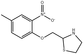 2-[(4-methyl-2-nitrophenoxy)methyl]-1,3-thiazolane Struktur