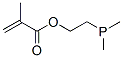 2-(dimethylphosphino)ethyl methacrylate Struktur