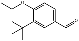 Benzaldehyde, 3-(1,1-dimethylethyl)-4-ethoxy- (9CI) Struktur