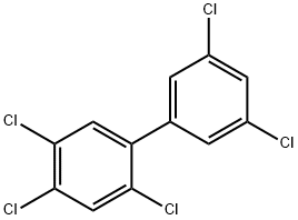 2,3',4,5,5'-ペンタクロロビフェニル