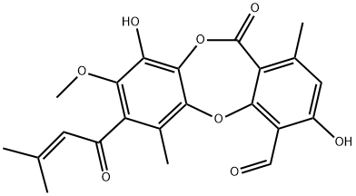 MOLLICELLINC Struktur