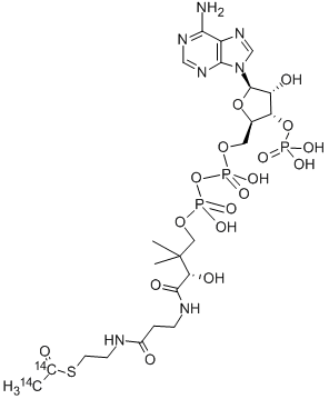 ACETYL COENZYME A, [ACETYL-1,2-14C] Struktur