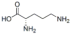 Ornithine Struktur