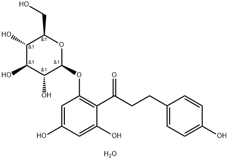 Phlorizin dihydrate