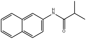 N-NAPHTHALEN-2-YL-ISOBUTYRAMIDE Struktur