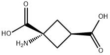 1-AMINOCYCLOBUTANE-CIS-1,3-DICARBOXYLIC ACID Struktur