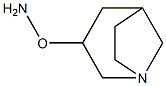 1-Azabicyclo[3.2.1]octane,3-(aminooxy)-,endo-(9CI) Struktur