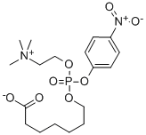 6-Carboxyhexylphosphocholine p-Nitrophenyl Ester Struktur