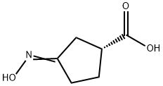 Cyclopentanecarboxylic acid, 3-(hydroxyimino)-, (R)- (9CI) Struktur