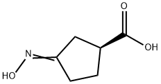 Cyclopentanecarboxylic acid, 3-(hydroxyimino)-, (S)- (9CI) Struktur