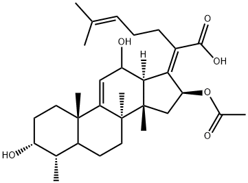 9,11-Anhydro-12-hydroxy Fusidic Acid Struktur