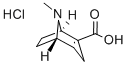 ANHYDROECGONINE HYDROCHLORIDE Struktur