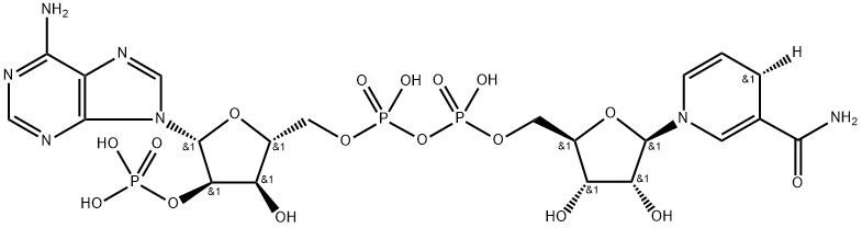 β-NADPH-D