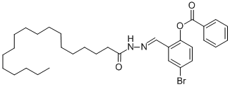 SALOR-INT L402273-1EA|