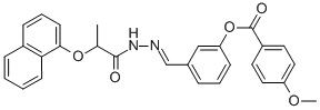 SALOR-INT L495557-1EA Struktur