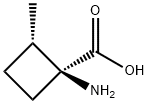 Cyclobutanecarboxylic acid, 1-amino-2-methyl-, (1S,2S)- (9CI) Struktur