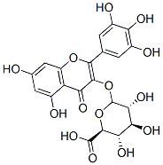 myricetin 3-O-glucuronide Struktur