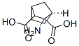 Bicyclo[2.2.1]heptane-2,3-dicarboxylic acid, 2-amino-, [1R-(exo,exo)]- (9CI) Struktur