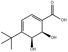 1,3-Cyclohexadiene-1-carboxylic acid, 4-(1,1-dimethylethyl)-5,6-dihydroxy-, (5S,6R)- (9CI) Struktur