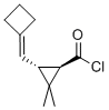 Cyclopropanecarbonyl chloride, 3-(cyclobutylidenemethyl)-2,2-dimethyl-, (1R-trans)- (9CI) Struktur