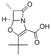 4-Oxa-1-azabicyclo[3.2.0]hept-2-ene-2-carboxylicacid,3-(1,1-dimethylethyl)-6-methyl-7-oxo-,cis-(9CI) Struktur