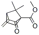 Bicyclo[2.2.1]heptane-1-carboxylic acid, 7,7-dimethyl-3-methylene-2-oxo-, methyl ester (9CI) Struktur