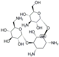 Kanamycin