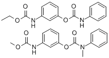 betamix Struktur