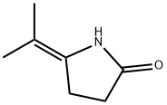 2-Pyrrolidinone,5-(1-methylethylidene)-(9CI) Struktur