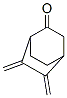 Bicyclo[2.2.2]octanone, 5,6-bis(methylene)- Struktur