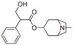 atropine Struktur