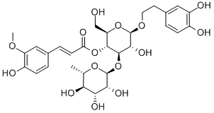 LEUCOSCEPTOSIDEA Struktur